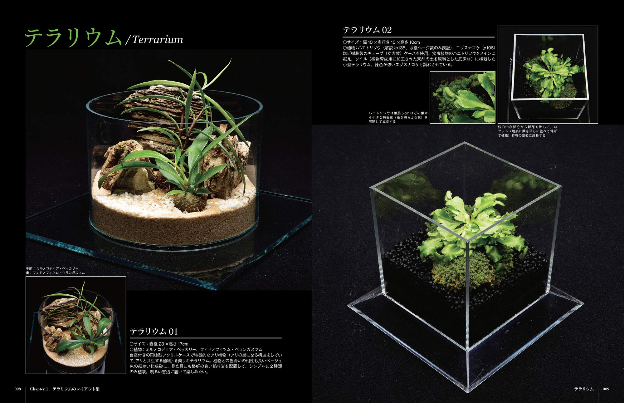 部屋で楽しむテラリウム 佐々木 浩之 戸津 健治 本 通販 Amazon