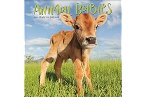 2026 Animal Babies Mini Wall Calendar