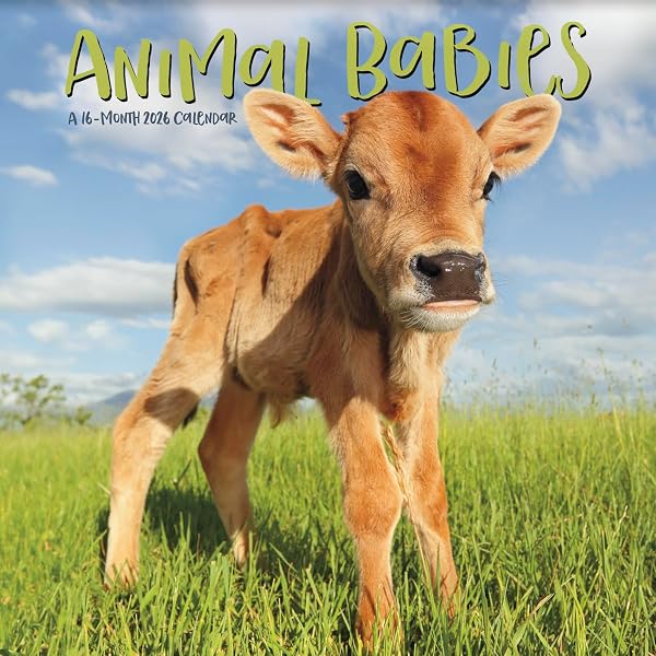 2024 Animal Babies Mini Wall Calendar - 7" X 7" Monthly Planner With Cute Baby Animal Photos - View #9
