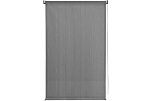 VICLLAX Outdoor Roller Shade Fabric for Porch Gazebo, Patio Blinds Roll Up Shade (5' W X 6' L), Gray