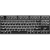 Cooler Master QuickFire Rapid-i Fully Backlit Mechanical Gaming Keyboard with ActivLite Technology and Per-Key Lighting Profiles (White LED/Brown Switch Model)