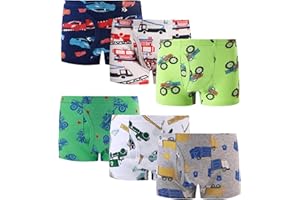 Finihen Boys Boxer Underwear Cotton Briefs Kids Toddler Boys Dinosaur Truck Panties.