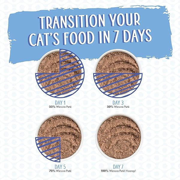WERUVA WET CAT FOOD, MEOWS N HOLLER PURRAMID WITH CHICKEN AND SHRIMP PATE, 3OZ CAN, PACK OF 12