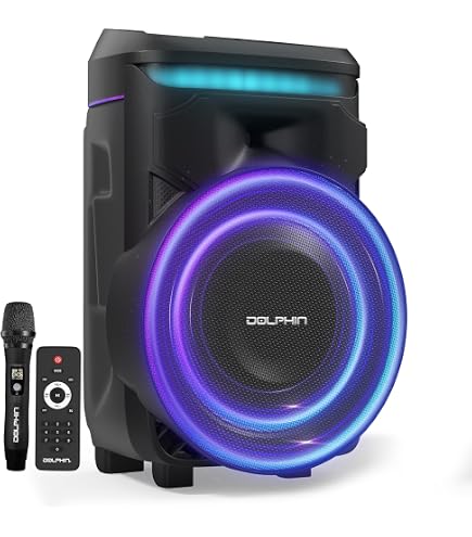 Fenton FT15LED Portable PA Speaker System with 2 Wireless Mics
