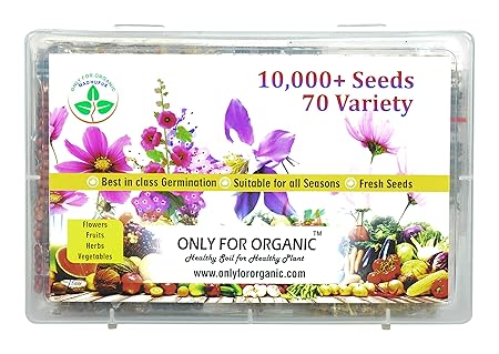 Only For Organic flower, fruit, herbs and vegetable seeds combo (10000+ seeds, 70 variety)