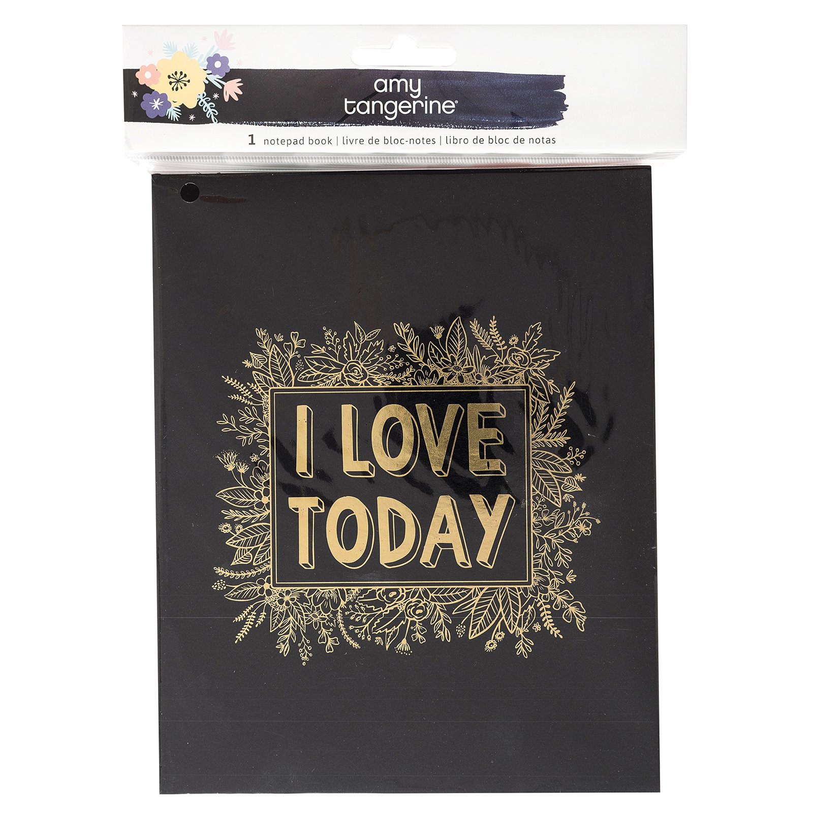 American Crafts Shine On Amy Tan Notebooks