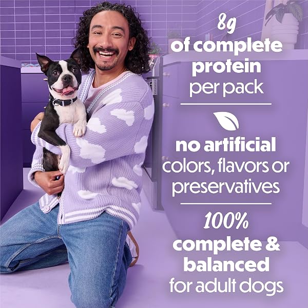 PURINA BENEFUL KITCHEN CREATIONS WITH LAMB AND HARVEST VEGGIES IN SAUCE WET DOG FOOD – (PACK OF 12) 3 OZ. CANS