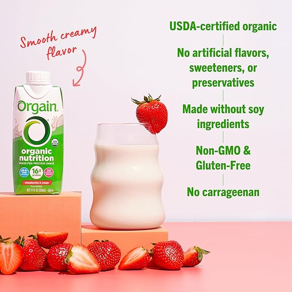 ORGAIN ORGANIC NUTRITIONAL PROTEIN SHAKE, STRAWBERRIES & CREAM – 16G GRASS FED WHEY PROTEIN, MEAL REPLACEMENT, 20 VITAMINS & MINERALS, FRUITS & VEGETABLES, GLUTEN FREE, NON-GMO, 11 FL OZ (12 PACK)