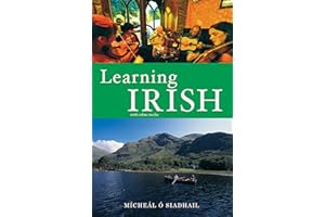 Learning Irish: Text with Online Media