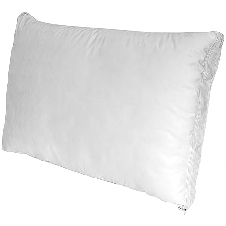 Buy Sealy Posturepedic Comfort Cover Memory Core Bed Pillow