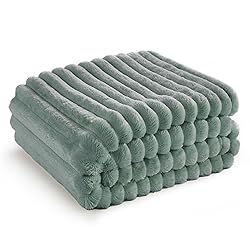 Bedsure GentleSoft Twin XL Blanket for Couch - Cozy