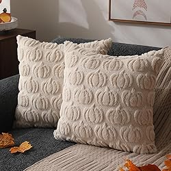 DFXSZ Fall Pillow Covers 16x16 Set of 2 Fall
