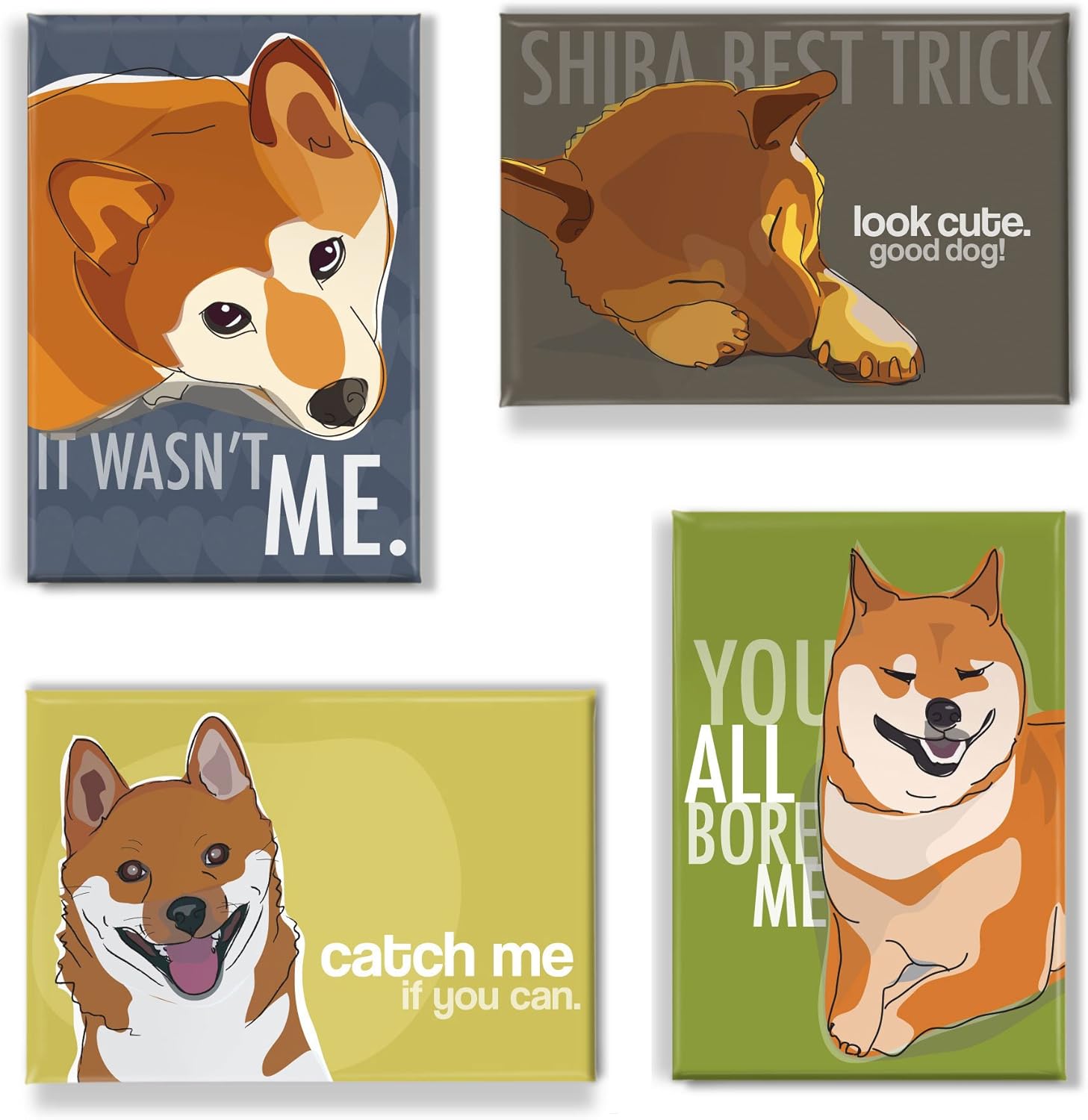 funny shiba inus