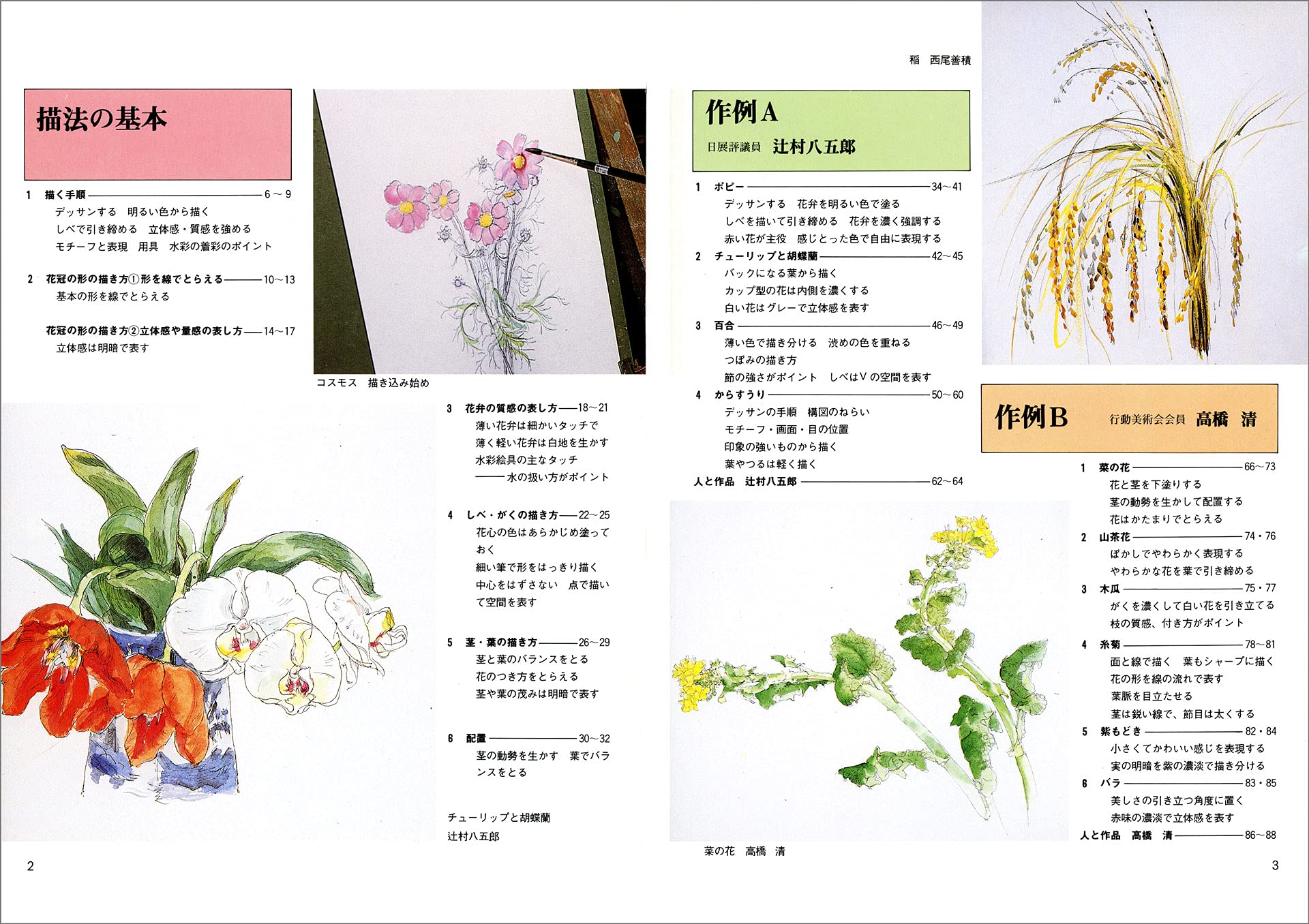 水彩ノート 花 みみずく アートシリーズ 視覚デザイン研究所 本 通販 Amazon