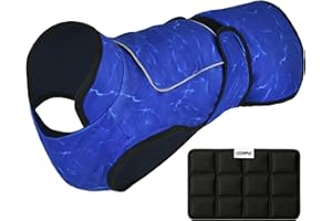 LUCOLOVE Dog Cooling Vest with Ice Pack – 2-Layer Evaporative Cooling Jacket with High Collar, UV Protection & Size-Matched Ice Pack – Cooling Vest for Dogs for Hot Weather (Blue Aqua, Large)