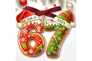 LUMENJAR 67 Ornament – The Year Of 67 Ornament – 67 Meme Christmas Ornaments – 67 Gifts for Teens, Kids, Girls, Boys - Trendy Stocking Stuffers For Teens – Funny 67 Acrylic Xmas Ornaments - Christmas Tree 2025