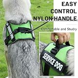 Belababy Soft No Pull Dog Harness Medium Reflective Adjustable Green view 5