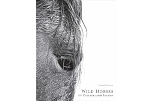Wild Horses of Cumberland Island (Anouk Masson Krantz)