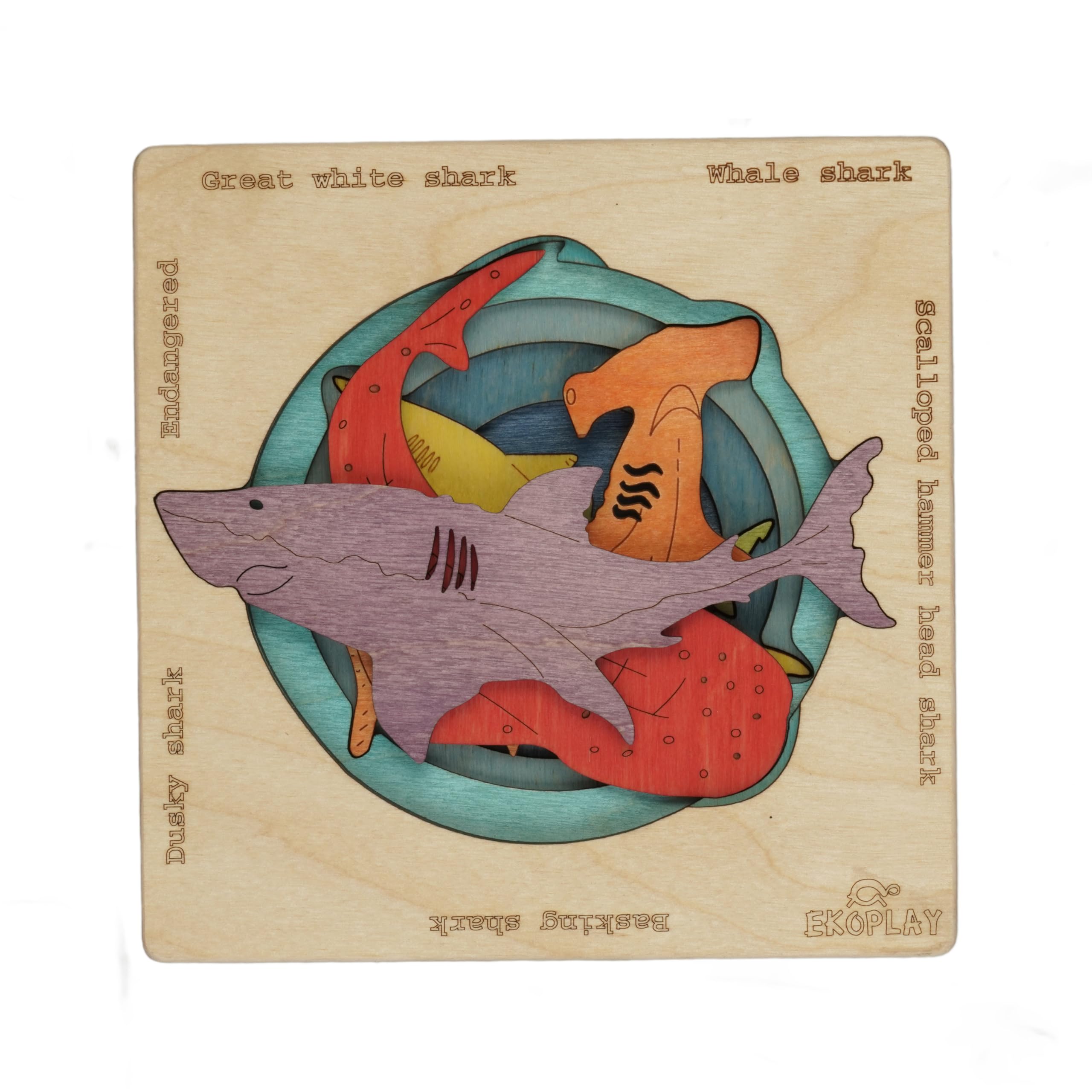 Endangered Sharks | Multilayered Wooden Jigsaw Puzzles for Kids | Hammerhead, Great White Shark, Whale Shark, Dusky Shark, Basking Shark | Learning Toy & Gift for Boys Girls Ages 3 Years and Above — image 1