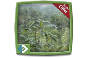Rainy Jungle HD - Decor your Fire TV Screen with cool rainy forest