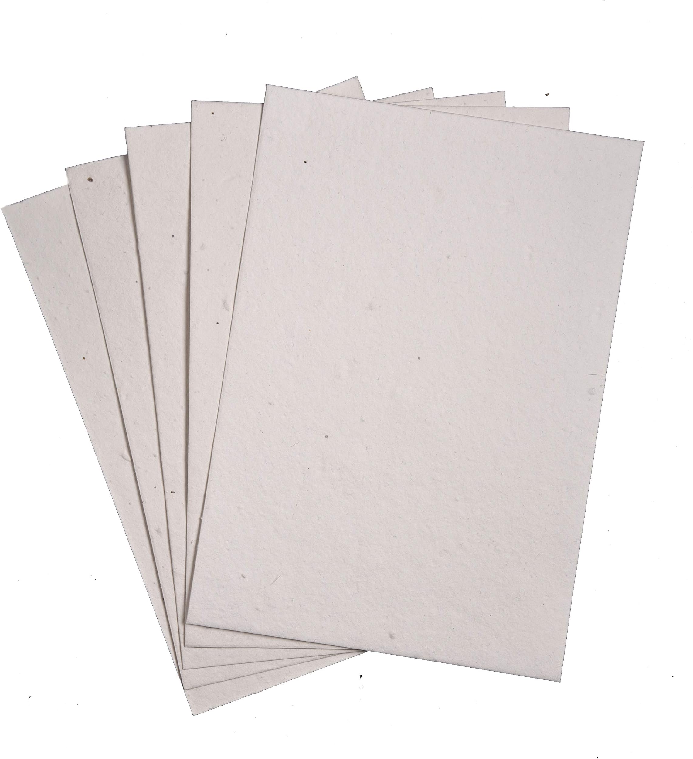 Plantables Mixed Wildflower Seed Paper sheets 200 GSM A5 (Set of 50)