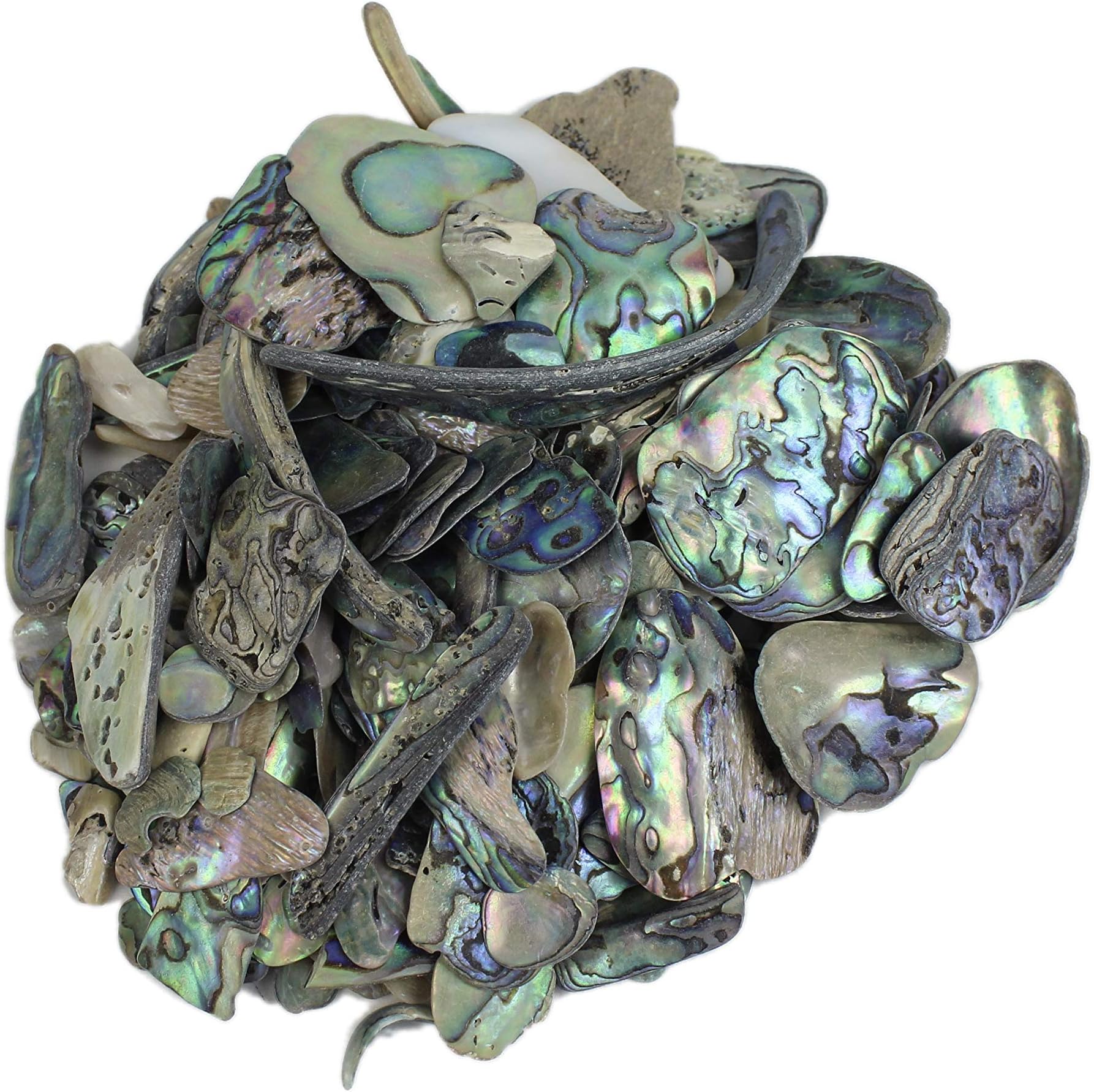 Paua Shell Pieces Natural: Unsorted 1/4 lb (565Z-TPNUK-AS) L2