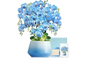 WhatSign Happy Mother's Day Card Pop Up Flowers, 3D Blue Orchid Bouquet for Mom, Grandma, Sister, Daughter, Premium Large Pap