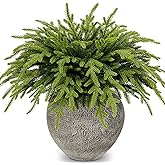 30 Pcs Christmas Real Touch Norfolk Stems, 15Inch Artificial Pine Branches Faux Evergreen Pine Sprigs Fake Foliage Greenery Picks for Christmas Wreath Making DIY Crafts Home Decor (30, Gradient Green)