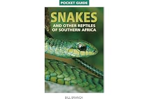 Pocket Guide: Snakes & Reptiles of South Africa
