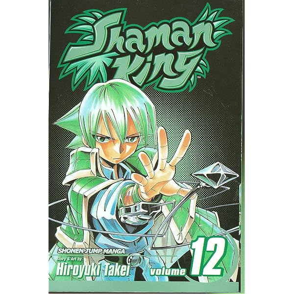 Amazon.com: Shaman King, Vol. 13: 9781421511016: Hiroyuki Takei