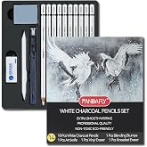 PANDAFLY Professional White Charcoal Pencils Set, 14 Piece | White Sketch Highlight Pencils for Drawing, Sketching, Shading, Blending, White Chalk Pencils for Beginners &amp; Pro Artists
