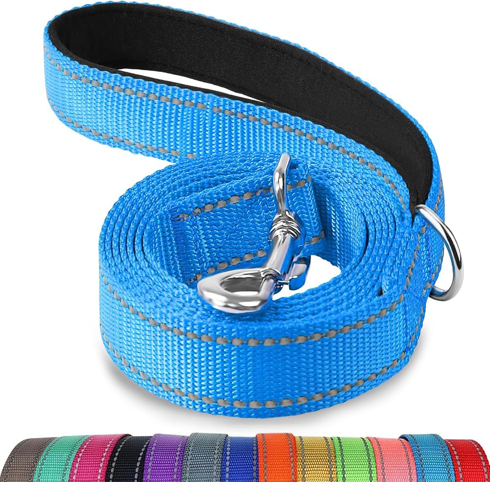 Joytale Padded Handle Dog Lead Double-Sided Reflective Nylon 1.2m SkyBlue