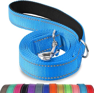 Joytale Double-Sided Reflective Dog Leash 6 5 4 ft Padded Handle Sky Blue
