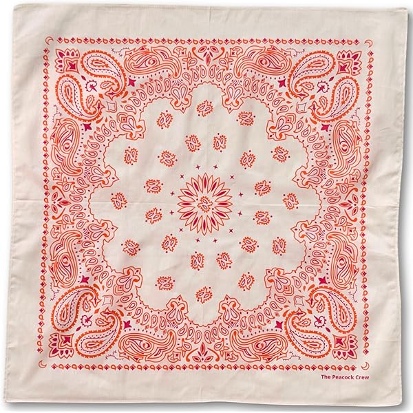 Hav-a-hank Paisley Bandana 100% Cotton / USA Made 22 Military Army