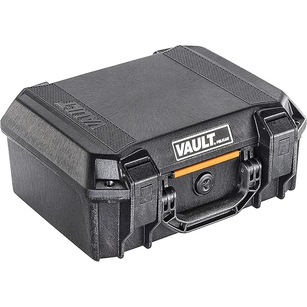 Amazon.com: Pelican Vault - V300 Multi-Purpose Hard Case with