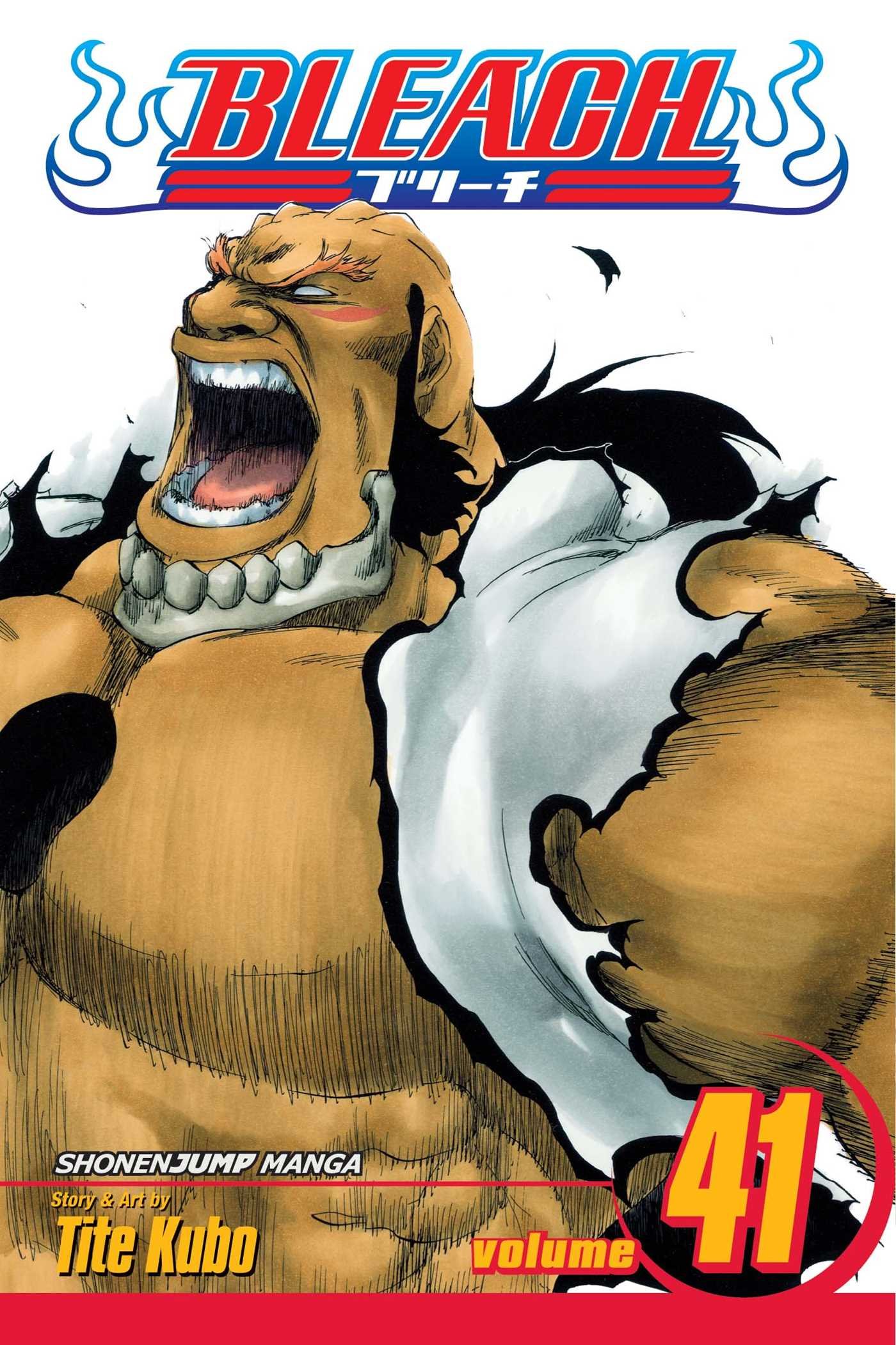 Amazon Com Bleach Vol 41 Tite Kubo Tite Kubo Books