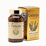 FINE JAPAN Cordyceps Mushroom Capsules - Premium