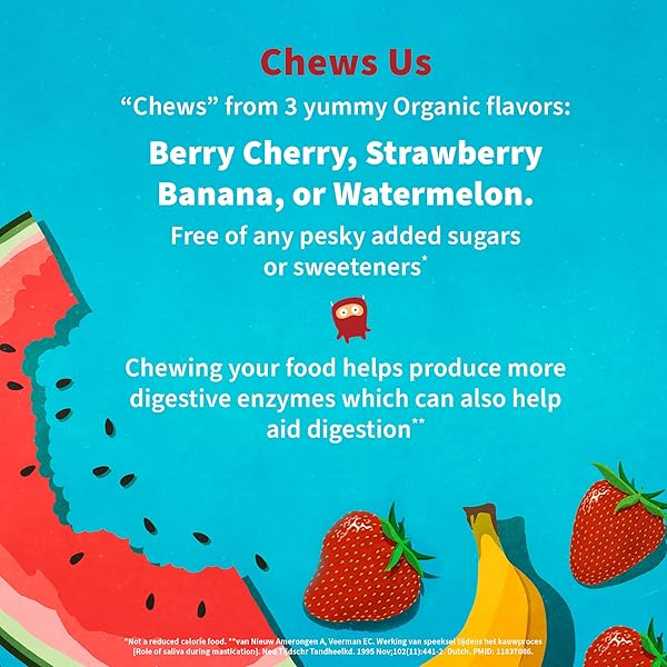 GARDEN OF LIFE KIDS PROBIOTICS, DR. FORMULATED PROBIOTICS ORGANIC KIDS+ VITAMIN C & D, STRAWBERRY BANANA, GLUTEN DAIRY & SOY FREE IMMUNE & DIGESTIVE HEALTH SUPPLEMENT, 30 CHEWABLES (SHELF STABLE)