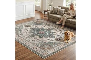 HOOBRO Area Rug 5x7, Machine Washable, Carpet Rugs with Non-Slip TPR Rubber Backing, for Living Room, Bedroom, and Hallway, V