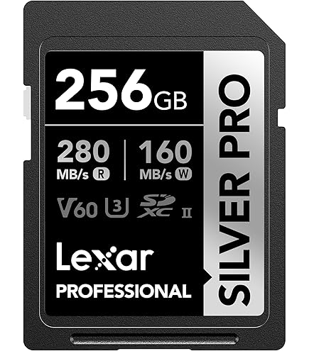 Amazon.com: Lexar 256GB Professional 1800x UHS-II SDXC