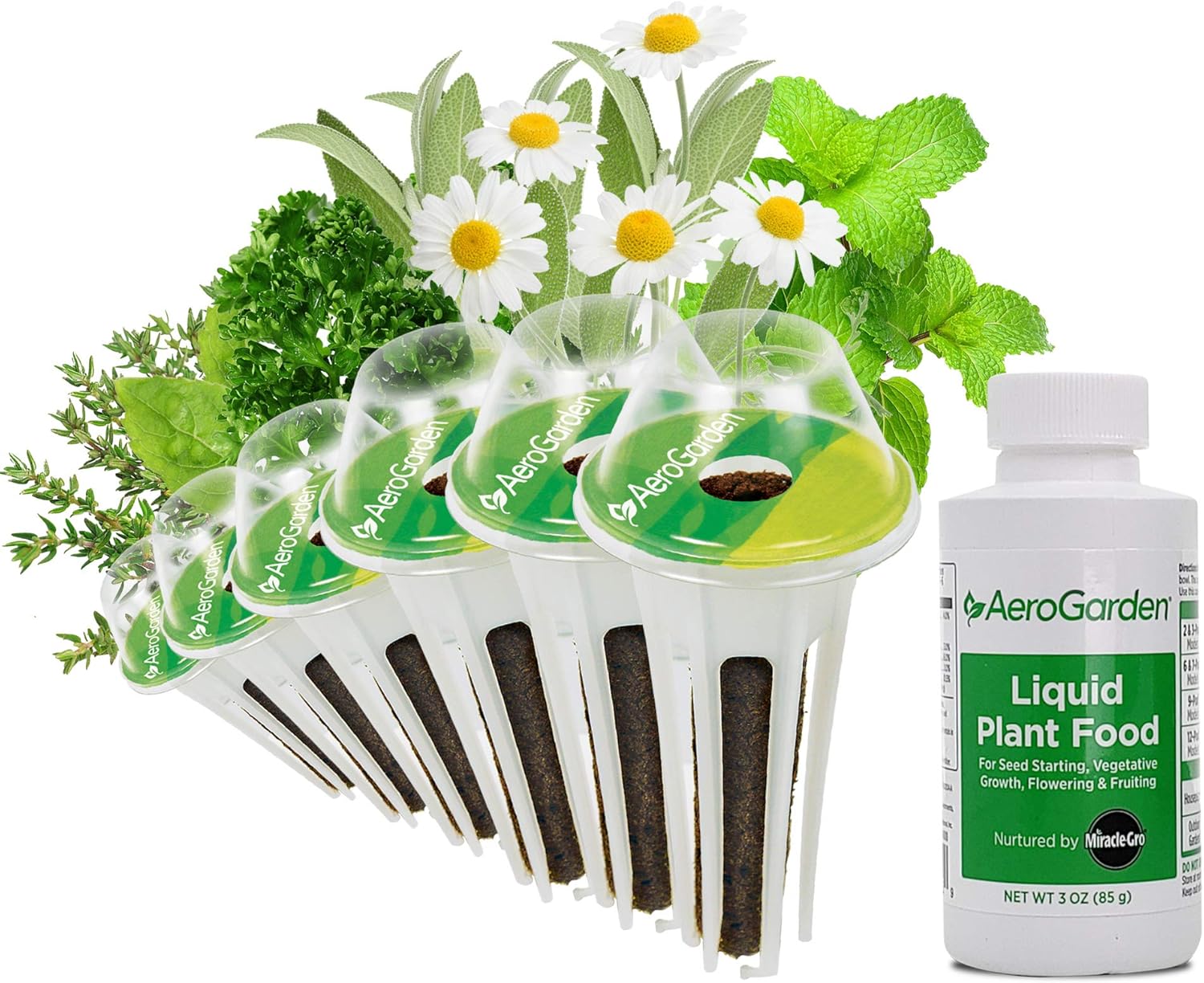 AeroGarden Traditional Medicinal Herbs Seed Pod Kit, 6