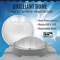 SkyDOME Extra-Large Skylight for Shipping
