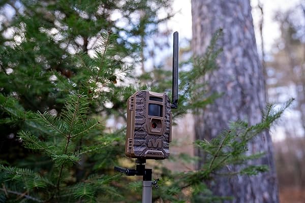 MUDDY MITIGATOR 2.0/2-PACK