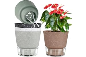 QRRICA Plant Pots 6 inch Self Watering Pots, 5 Pack Flower Pots Outdoor Indoor, Planters with Drainage Hole and Tray Saucer-Multicolour