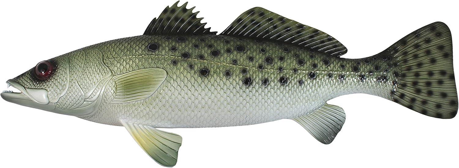 Charlotte International Sea Trout Tropical Fish Nautical Wall Decor