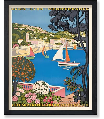 Amazon.com: Australia - Australian Kangaroo with Baby Joey