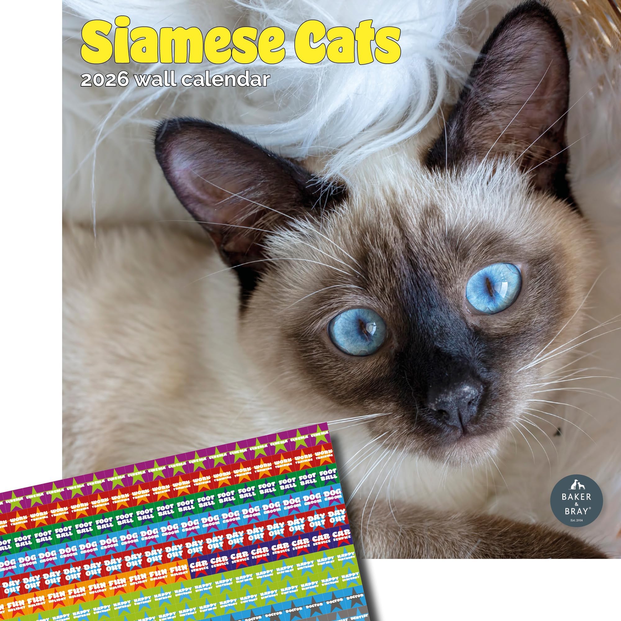 Baker and Bray Siamese Cats Calendar 2026, Large Square Wall Calendar With Organisational Stickers, 16 Month, Siamese Cats Gift Cat Calendar