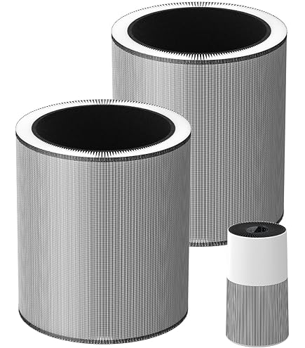 Amazon.com: Winix Genuine Replacement Filter R for T810 Air