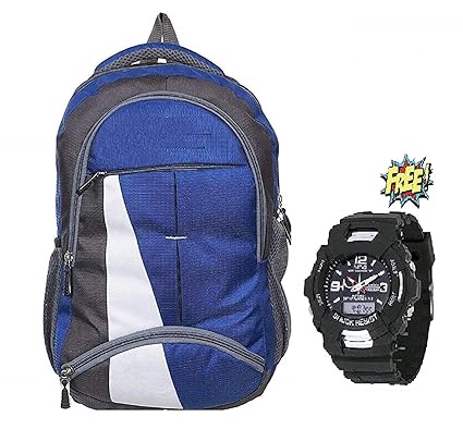 BLUTECH Fabric 30 Ltr Blue Laptop Backpack
