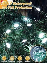BrightChristmas Christmas Lights with 600 LED 196